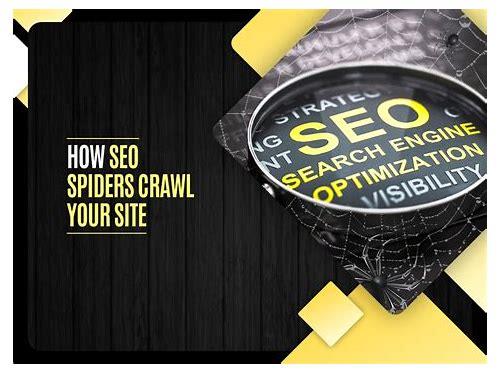 SEO蜘蛛：网站排名的隐形推手与优化策略