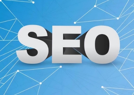 SEO汇报：解析网站优化的关键要点与成效