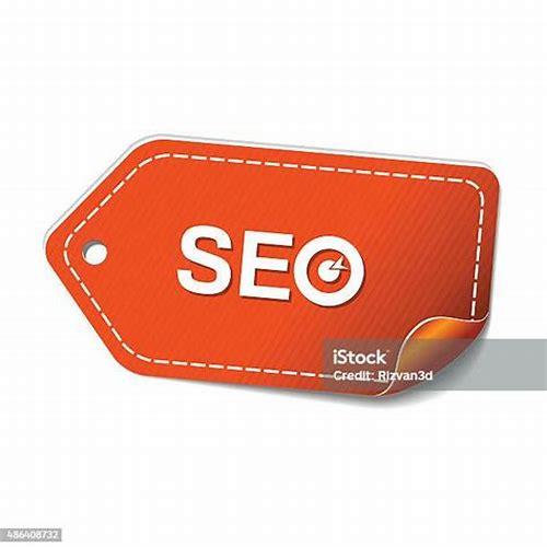 SEO 橘子：解锁搜索引擎优化的“甜蜜果实”
