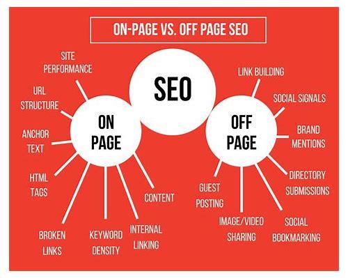 SEO 实战案例解析：提升网站流量与排名的秘诀