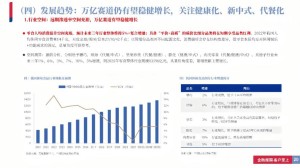 拼多多跻身万亿沙龙下沉市场潜力仍巨大