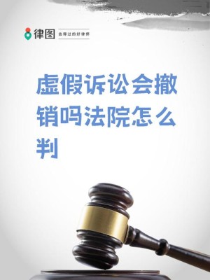 中国反侵权假冒联盟：苹果公司应自觉履行禁令裁定 维护中国法院司法权威