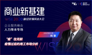 金柚网副总裁何黎疫往无前疫情往后的用工市场分析WISE2020经济领风者大会
