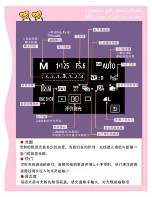 d800套机报价及参数【图文】
