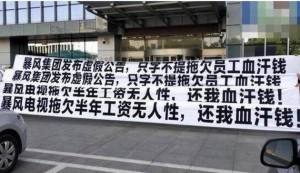 暴风年报薪酬发不出存退市危险