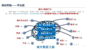 才智城市实践从城市大脑到数字孪生