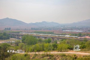 柳树屯分集详细介绍11-20集