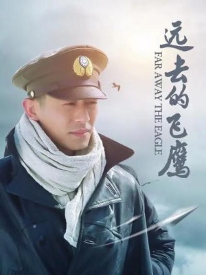 远去的飞鹰分集剧情详细介绍第29集