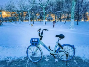 永安行2019年净利大增逾三倍同享单车迎来曙光