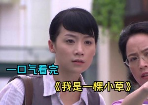 我是一棵小草剧情详细介绍