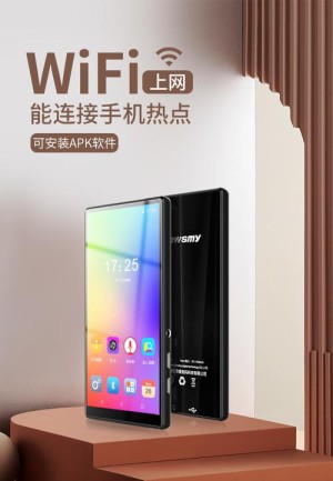 纽曼a1的报价以及介绍评测【图文解说】
