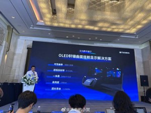 天马出样双层OLED 博主：明年OLED市场要变天