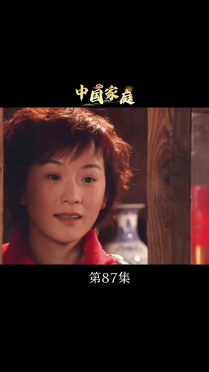 电视剧中国家庭2剧情详细介绍