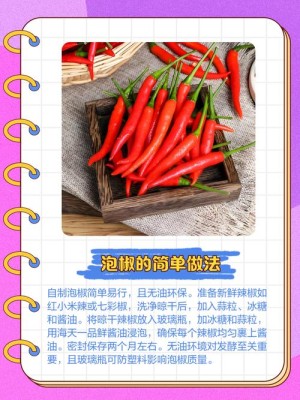 辣椒与泡菜分集详细介绍第4集
