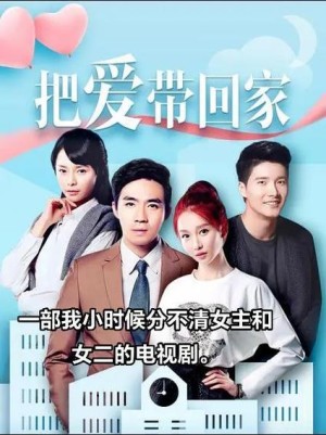 电视剧把爱带回家剧情简介