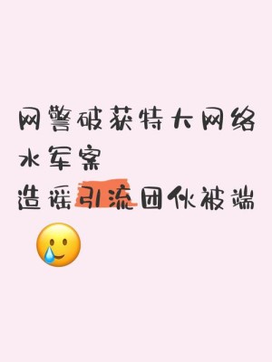 北京警方打击网络水军，破获微博批量点赞转发案