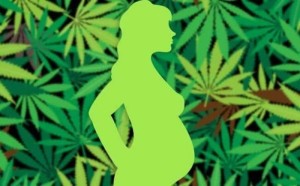 新研讨女人长时间食用大麻将面对不孕危险