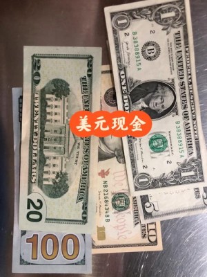FF取得美国薪酬保证方案916万美元现金帮助