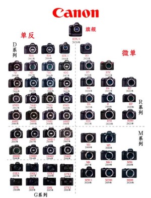 佳能5d mark iii应该如何样 看看相关的介绍【图文解说】