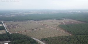 特朗普出台欧洲游览禁令特斯拉撤离德国厂美国职工