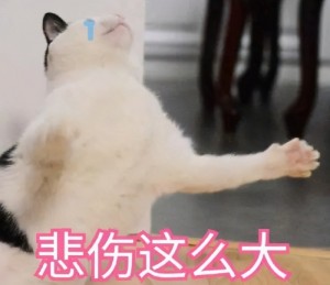 全球手机行业要变天了？中国首个快充标准发布
