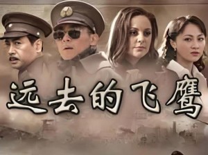 远去的飞鹰分集剧情详细介绍第24集