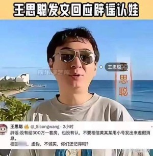 熊猫互娱投资人否定已获王思聪补偿未参与商洽