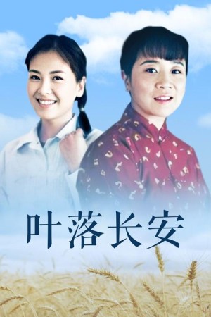叶落长安分集剧情详细介绍第36集