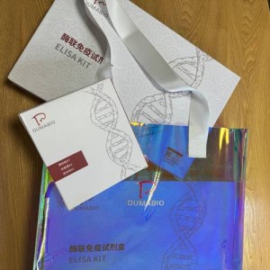 亚马逊将与盖茨基金会联手为西雅图供给病毒试剂盒