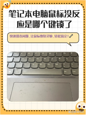笔记本鼠标触摸板开关没反应应该如何办【解决方法和技巧】