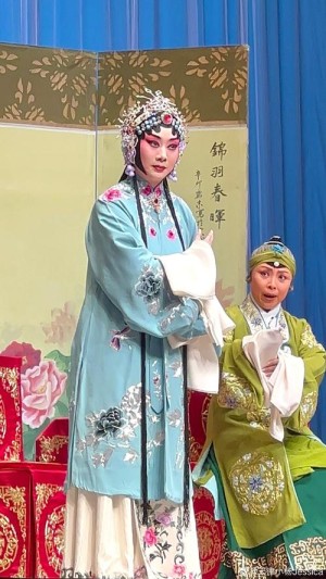 凤还巢之连城剧情简介