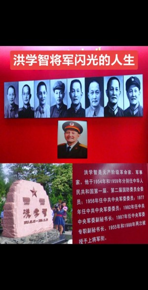 上将洪学智剧情简介