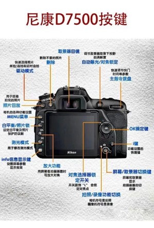 nikon单反入门级哪款好【详细介绍】