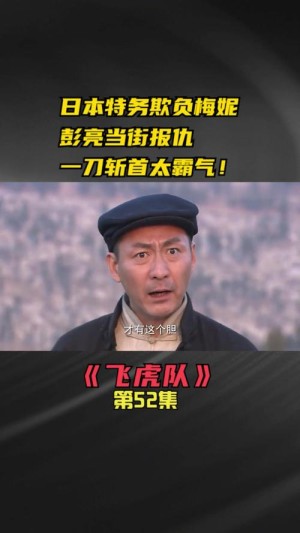 电视剧飞虎队迫降太行山剧情简介