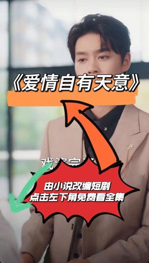爱情自有天意分集剧情详细介绍第11集