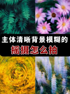 摇拍照片应该怎样拍摄 摇拍照片拍摄方法和技巧【详细说明】
