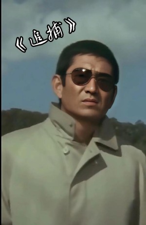 追捕剧情详细介绍