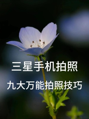 三星照相手机应该如何样 三星照相型号推荐【图文】