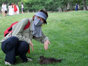 好想回家分集剧情详细介绍11-24集大结局