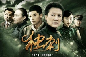 肉中刺分集剧情详细介绍第25集