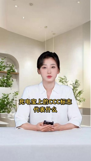 召回、换供、3C禁令：充电宝行业格局重塑“山雨欲来”