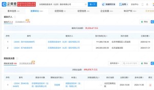 乐视网上一年亏逾112亿停止上市危险仍然悬顶