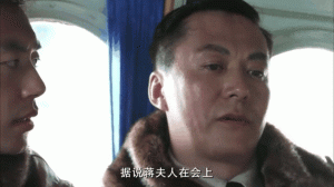 远去的飞鹰分集剧情详细介绍第22集