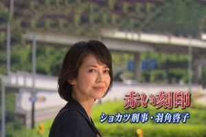 日剧女子刑事剧情详细介绍(1-10集)大结局