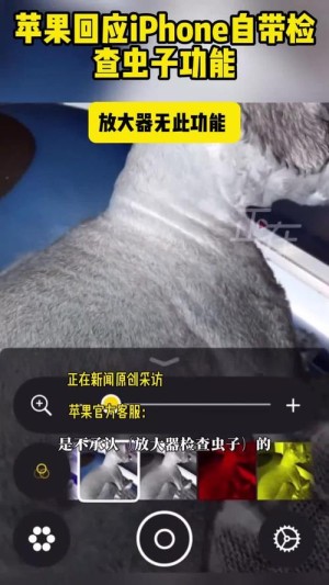 网友发现iPhone能检查虫子 苹果回应：放大器无此功能