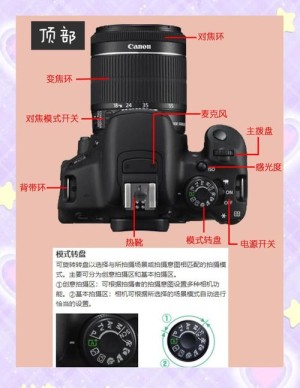 摄影新手入门要了解哪些单反知识 摄影新手入门必读的单反基础知识