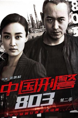 中国刑警803第23-26集剧情简介