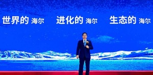 海尔中国企业走出去的样板