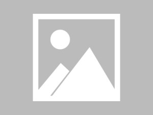 CNNIC第44次调查报告网约车