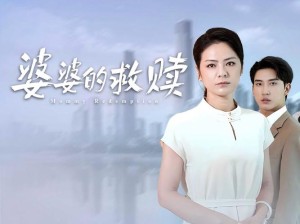电视剧小婆婆，大婆婆剧情简介